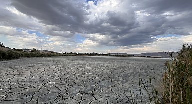 Elmabaş patka ördeklerin mekanı kuruyor; acil su takviyesi gerekiyor