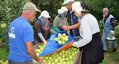 Elmada 'kalıntı' uyarısı; geçen yıl 47 üreticiye ceza uygulandı
