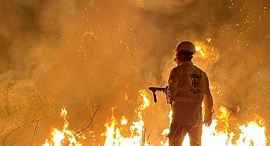 Erzincan'da çıkan örtü yangını 4 saatte söndürüldü