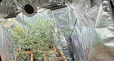 Evine iklimlendirme sistemi kurup kenevir yetiştiren şüpheli yakalandı