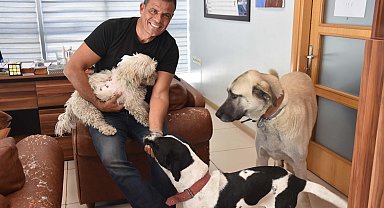 Fabrikasını can dostlarına açtı: 36 köpek, 7 kedi var