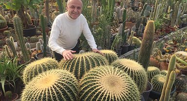 Farklı ülkelerden 600 kaktüsle çatıda bahçe kurdu