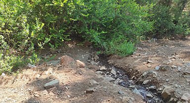 Fethiye'de ormanda terk edilmiş bebek bulundu