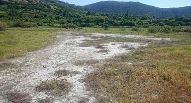 İklim değişikliğiyle toprakta artan tuz miktarına karşı 'örtü altı tarım' önerisi