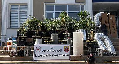 İklimlendirme sistemi ile kenevir yetiştirenlere operasyon; 1 gözaltı