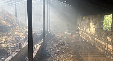 Isparta'da besihanedeki yangında 3 hayvan öldü, dumandan etkilenen 5 kişi hastanelik oldu