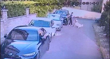 İstanbul- Ataşehir'de tasmasız kangal köpeğin saldırdığı köpek öldü; sahibi kalp krizi geçirdi