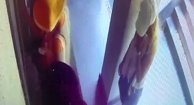 İstanbul- Bahçelievler'de girdikleri evden 12 milyon lira çaldığı iddia edilen 4 şüpheli yakalandı