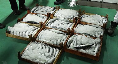 İstanbul - Gürpınar Balık Hali'nde yeni av sezonunun ilk mezatları yapıldı