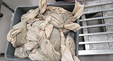 İstanbul - İstanbul Havalimanı'nda 20 bin adet sülük ele geçirildi