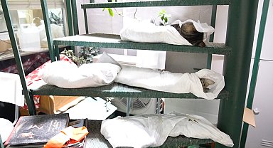 İstanbul - Kadıköy'de sokak hayvanı katliamı: 25 kedi ve köpek zehirlendi