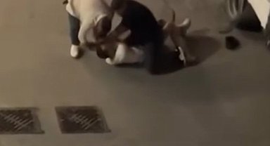 İstanbul - Sultangazi'de uyuşturucu operasyonu; şüpheli kovalamaca sonucu yakalandı