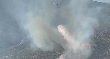 İzmir'de orman yangını