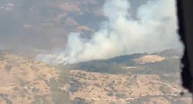İzmir'de orman yangını
