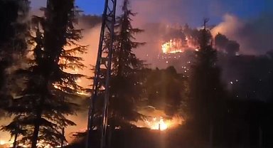 Kahramanmaraş'ta orman yangını