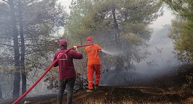 Kahramanmaraş'taki yangında 15 hektar orman zarar gördü