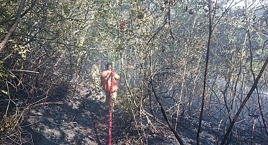 Karabük'te orman yangını kısa sürede söndürüldü
