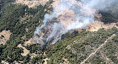 Kaş'ta orman yangını