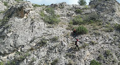 Kayalıkta mahsur kalan köpek kurtarıldı
