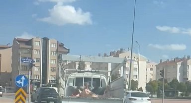 Kilolarca et kamyonet kasasında taşındı