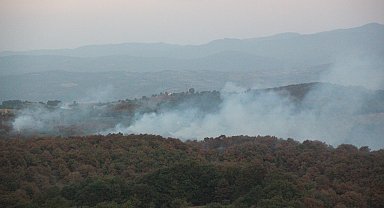 Kocaeli'de orman ve maki yangını 3 saatte söndürüldü