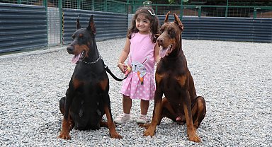 Kurduğu çiftlikle doberman yetiştirip, 40'ı aşkın ülkeye gönderdi