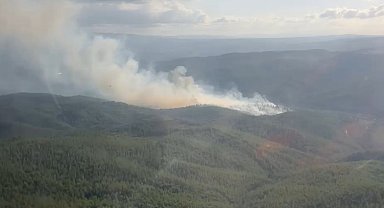 Kütahya'da orman yangını