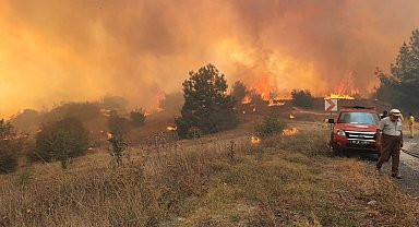 Kütahya'da orman yangını  