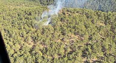 Kütahya'daki orman yangını 1 saatte söndürüldü