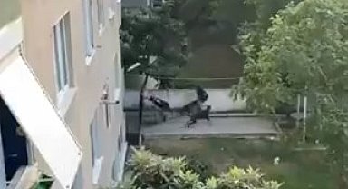 Maltepe'de, doberman cinsi köpeğin gence saldırdığı anlar kamerada