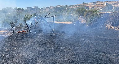 Mardin'de örtü yangını; 50 dönüm alan zarar gördü