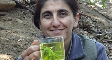 MİT'ten PKKKCK'nın sözde İran sorumlusuna nokta operasyon