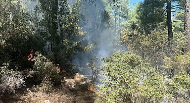 Muğla'da düşen yıldırımdan çıkan yangın söndürüldü