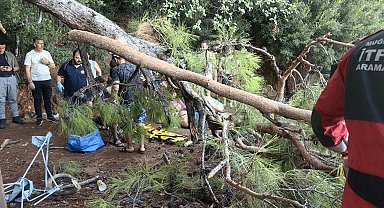 Muğla'da kuvvetli rüzgarda ağaç devrildi: 3 yaralı