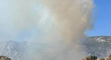 Muğla'da orman yangını