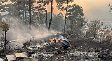 Muğla'da orman yangını