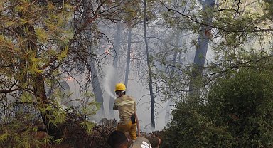 Muğla'da orman yangını