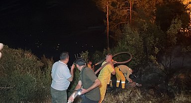 Muğla'da orman yangını