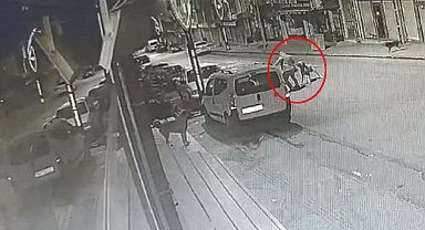Ordu'da başıboş köpek saldırısı kamerada