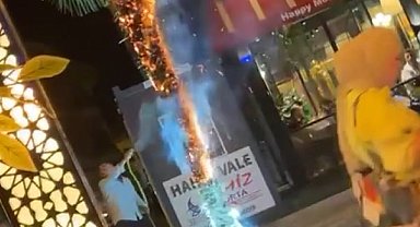 Palmiye ağacını ateşe verip kaçtı