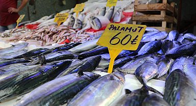 Samsun'da tezgahlarda palamut bolluğu