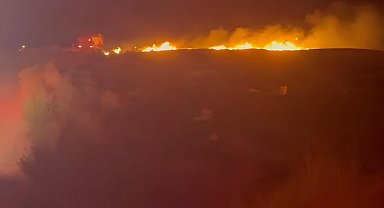 Seferihisar'da otluk alanda çıkan yangın 1 saatte söndürüldü