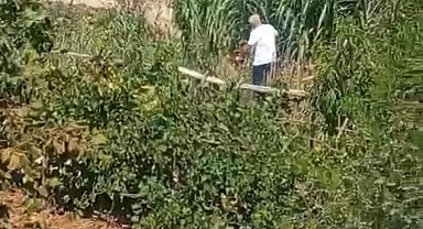 Şiddet mağduru yavru köpeğe, durumunu takip eden Hande Yener'in şarkısı 'Damla' ismi verildi