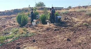 Silahlı saldırıda ölen güvenlik korucusunun, ölmeden önceki görüntüleri ortaya çıktı