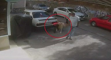 Sokak köpeğinin saldırısına uğrayan Baran yaralandı; o anlar kamerada