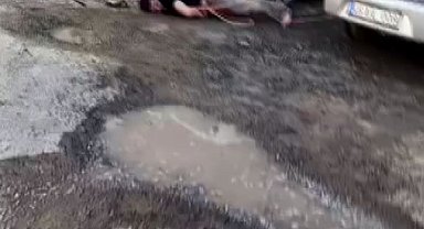 Su istediği kişilerle çıkan kavgada dövülerek öldürüldü