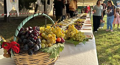 Tekirdağ'da 'Bağ Bozumu Şenliği'