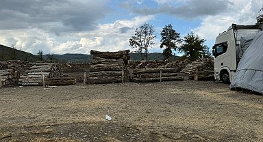 Tomruğun altında kalıp, öldü