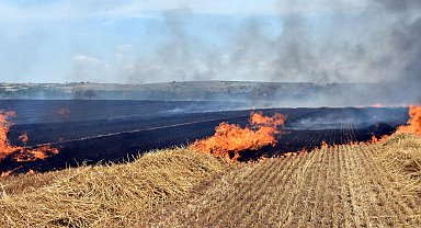 Trakya'daki yangınlarda 37 bin 115 dekar tarıma alanı zarar gördü