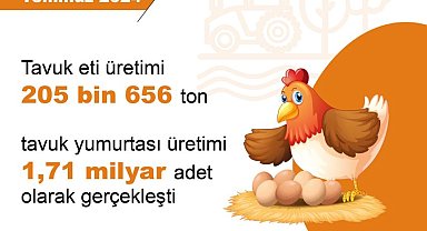 TÜİK: Aylık tavuk eti, yumurta ve içme sütü üretimi arttı